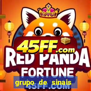 grupo de sinais trader telegram